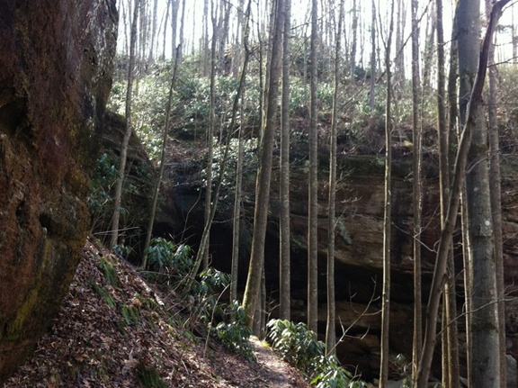 Martins Fork - 1